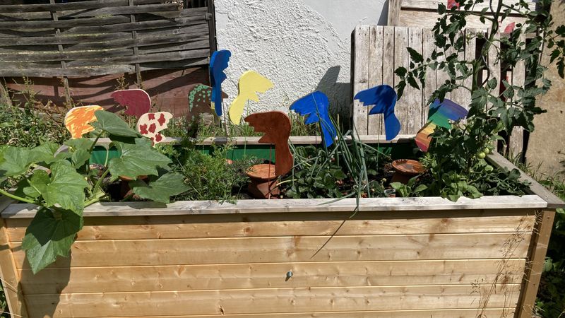 Jugendgruppe – Biber im Hochbeet entdeckt